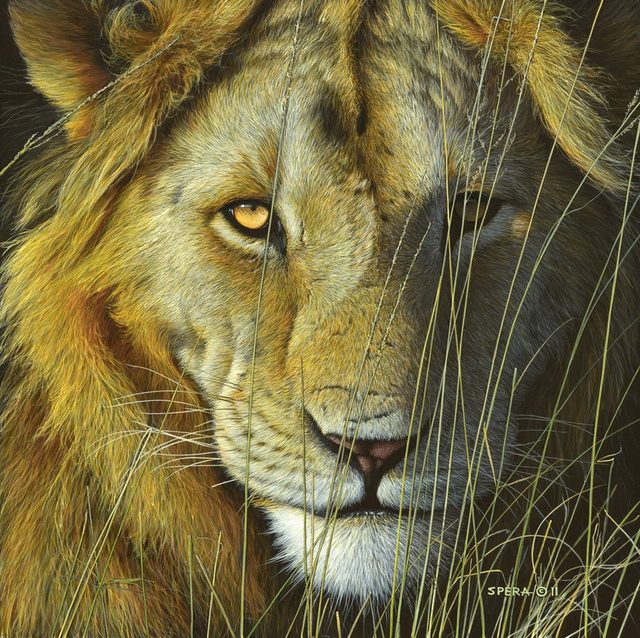 Return of the King, Lion — Edward Spera